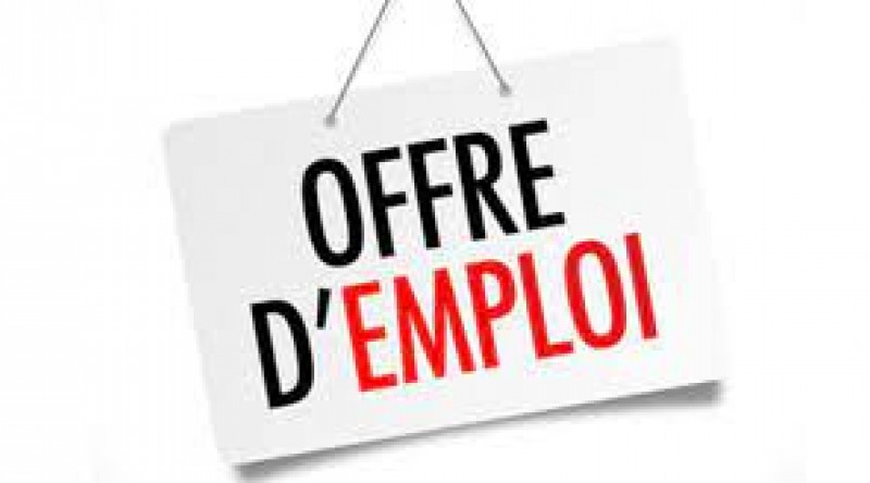 2113_cropped_800_444_90_61012804ee5b3_offre-emploi